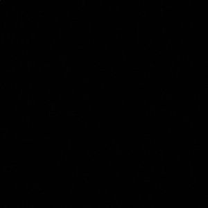 Meet your Posher, Abraham